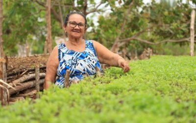 SAF abre chamada pública do PAA com investimento de R$ 4,6 milhões para agricultura familiar