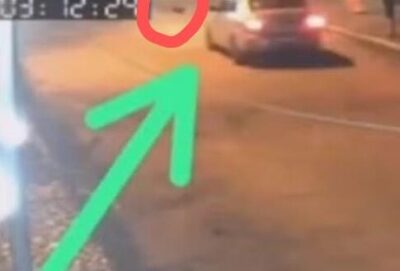 Homem é preso por matar cadela da ex-companheira em caso de violência doméstica no Maranhão