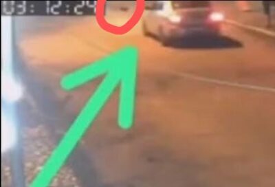 Homem é preso por matar cadela da ex-companheira no Maranhão