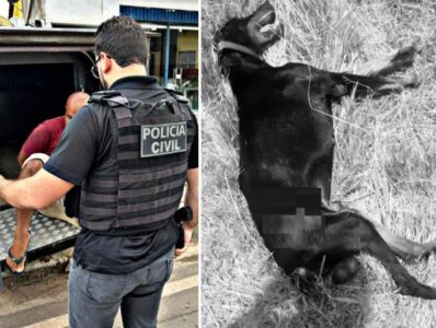 Urgente: homem é preso após arrastar cachorro até a morte na BR-222, em cidade da Baixada Maranhense