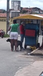 Crise expõe colapso no Hospital Veterinário Municipal de São Luís e levanta suspeitas sobre gestão