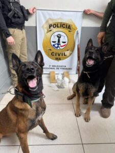 EM PINHEIRO, POLÍCIA CIVIL PRENDE QUATRO PESSOAS POR TRÁFICO DE DROGAS E POSSE ILEGAL DE ARMA DE FOGO