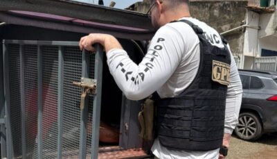 Homem é preso após matar cachorro a golpes de facão em Arari