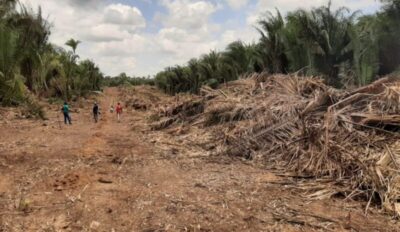 Fazendeiro é condenado por ameaçar líder quilombola em Santa Inês