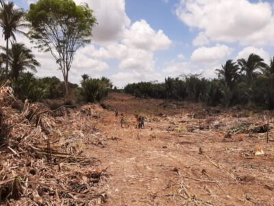 Fazendeiro é condenado após intimidação armada em comunidade quilombola no MA