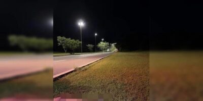 Onça-parda morre atropelada por carro do Ministério da Fazenda