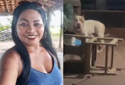 Ataque no MA: pitbull adotado adulto mata tutora, e especialista dá orientações