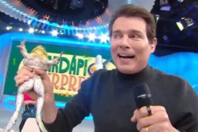 SBT e Celso Portiolli são investigados por maus-tratos aos animais