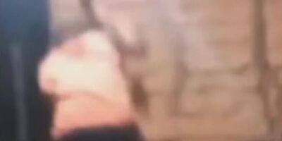 Homem mata cachorro e foge no interior do Maranhão