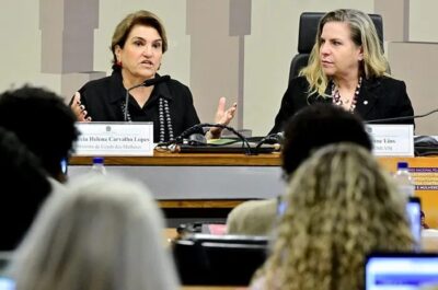 Novo Plano de Políticas para Mulheres será lançado no 2º semestre, diz ministra