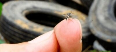 Casos de dengue caem 75% no Brasil em 2026, aponta Ministério da Saúde