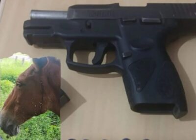 Homem é preso acusado de atirar contra burro na zona rural de Bacabal