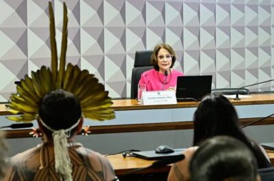 Poderes devem se unir para proteger crianças indígenas, aponta debate na CDH