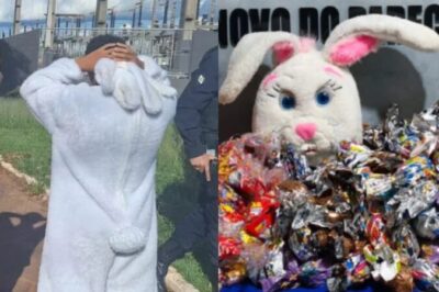 “Coelhinho da Páscoa do CV” é detido no Mato Grosso distribuindo chocolates