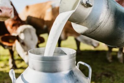 Governo libera R$ 909 milhões para produção de leite e reforma agrária