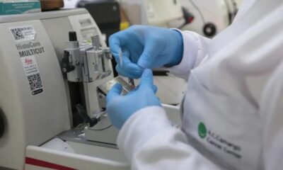 Nova lei amplia acesso à prevenção e tratamento do câncer no SUS