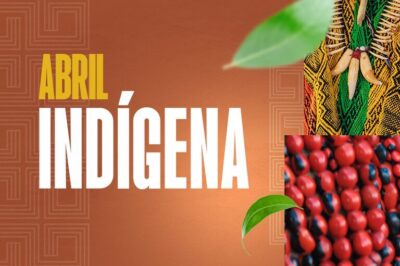 MPF garante condenação por extração ilegal de madeira em terra indígena no MA