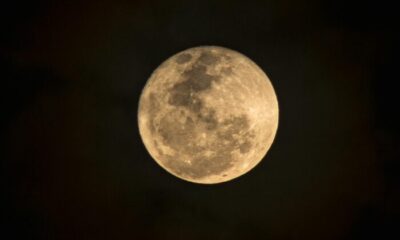 Nasa detalha planos para construção de base lunar bilionária