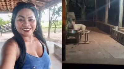 Mulher morre após ataque de pitbull no MA