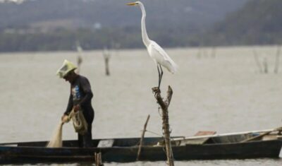 Mudanças aprovadas para o seguro-defeso previnem fraudes, diz relator