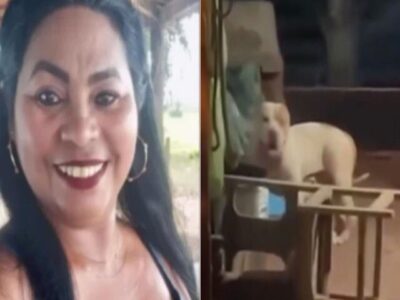 Mulher morre após ataque de pitbull na zona rural de Bacabal