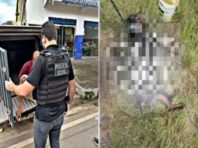 Homem é preso após arrastar cachorro até a morte no Maranhão