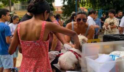 Quase 1.000 animais recebem atendimento gratuito em ação do Saúde Animal da prefeitura